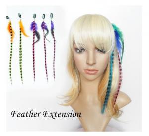 lever esthetisch De layout Mane Colors Clip-In Feather Hair Extensions Set